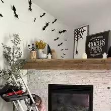 Piezas de Murciélagos Decorativas